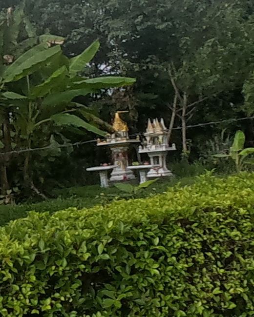 Two spirit houses in the roadside greenery