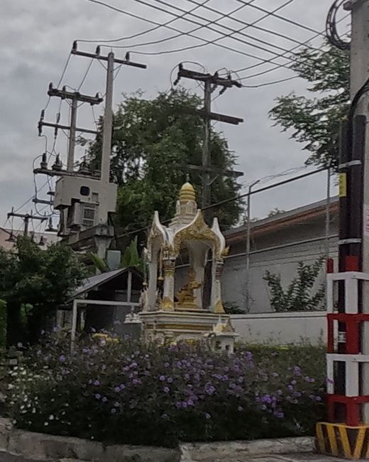 Gold spirit house among purple flowers
