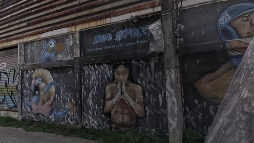 Shutter mural row: blue parrots, a wai-ing Muay Thai fighter, a football player
