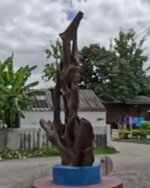 Driftwood sculpture on a blue plinth at a roundabout — San Kamphaeng