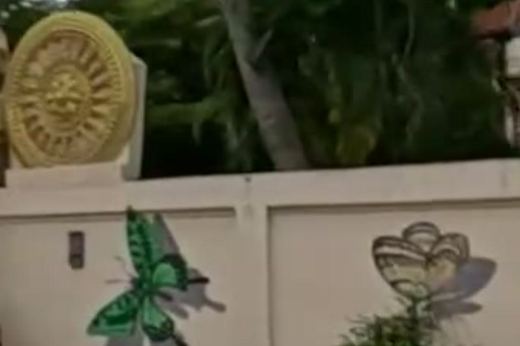 Butterfly Wall Mural — San Kamphaeng