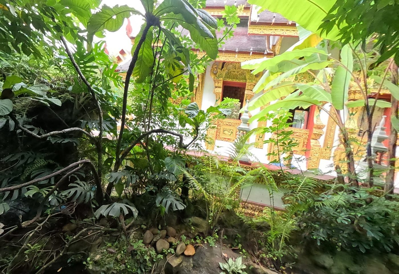 Gilded viharn seen through the Himmapan forest garden