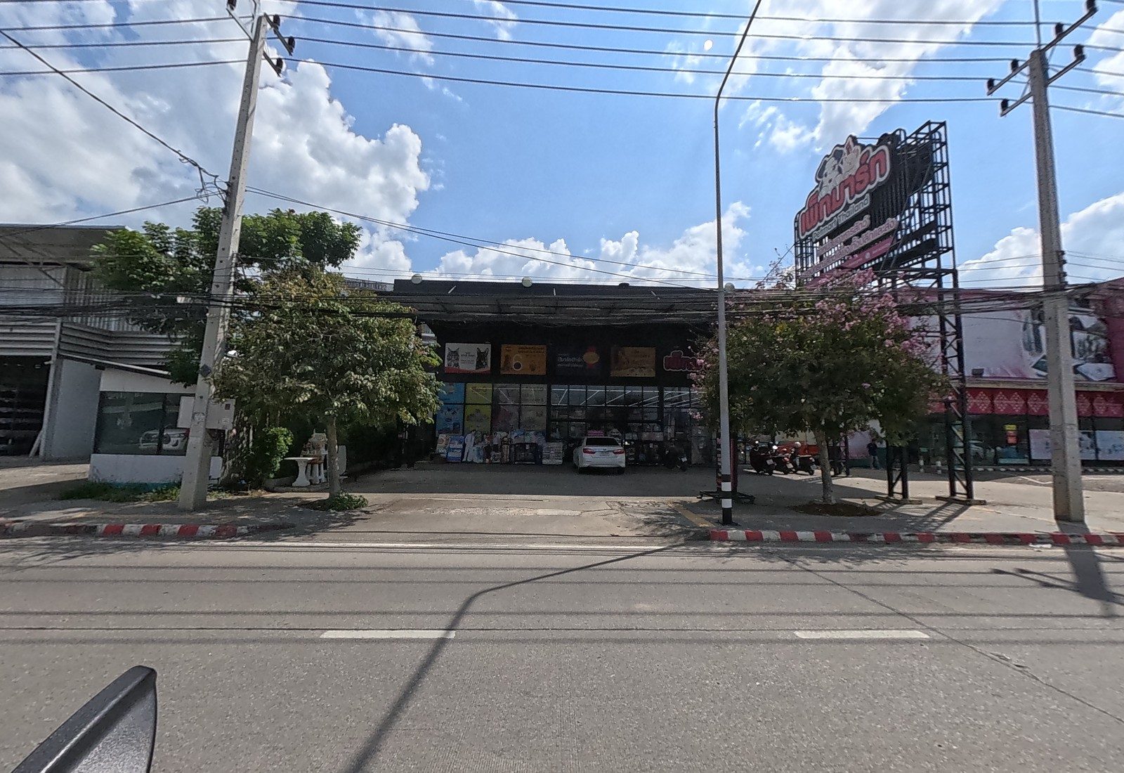 A black-fronted pet superstore with pet-food posters, a tall Petmart Thailand sign, and a pink building beside it.