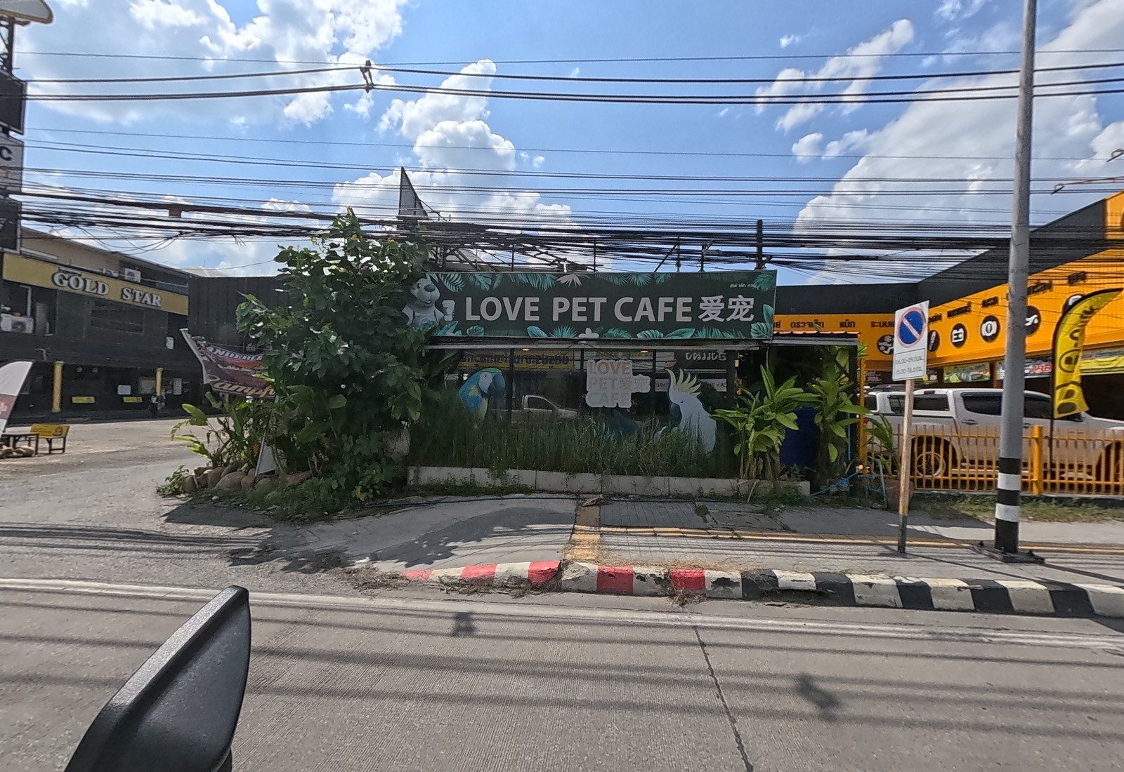 LOVE PET CAFE with a jungle-print sign and parrot cut-outs, the Gold Star club at left and the yellow B-Quik at right.