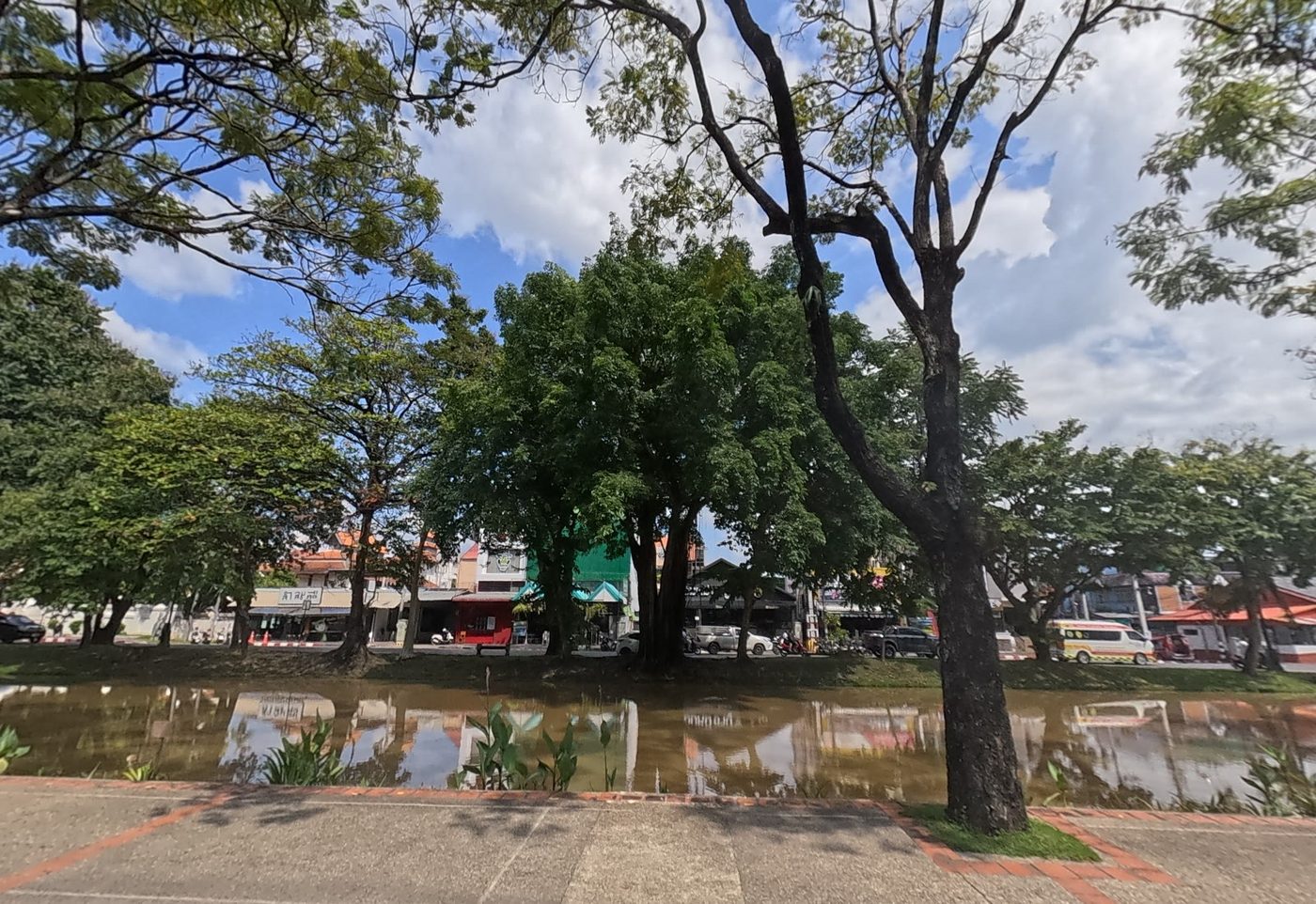 Moat water reflecting trees, shophouses across the water