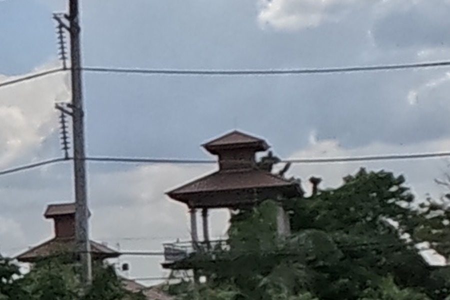 Tiered temple pavilion roof rising above the treeline