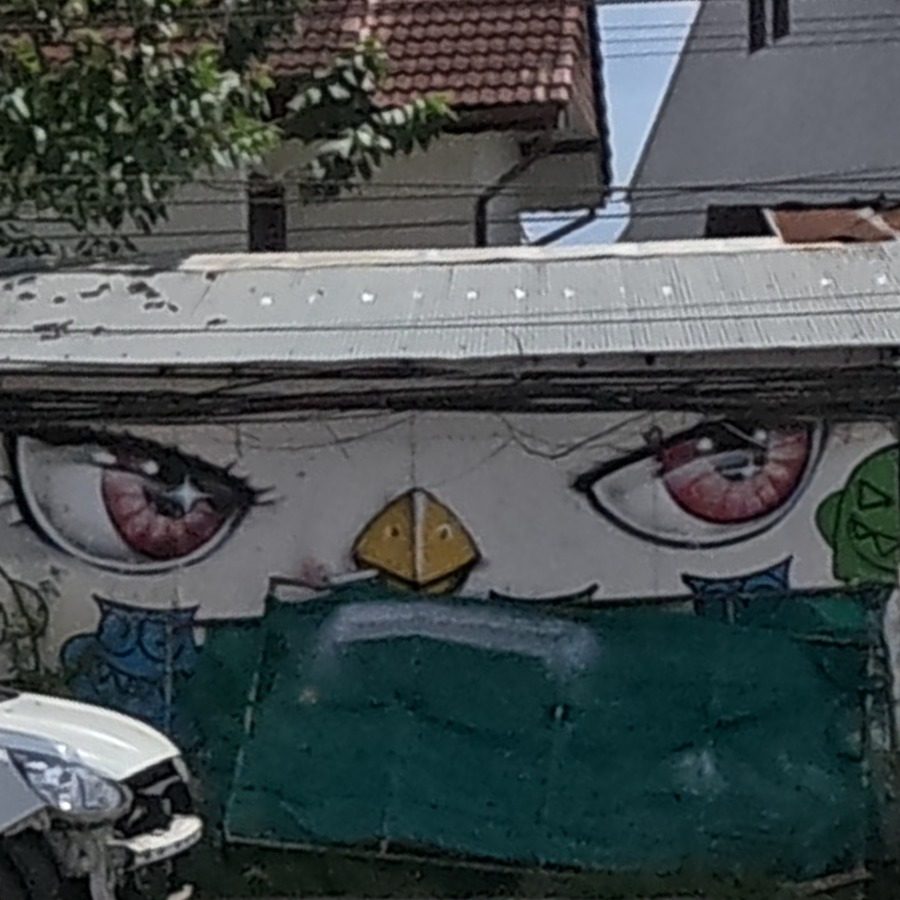 Giant eyes mural on a garage wall