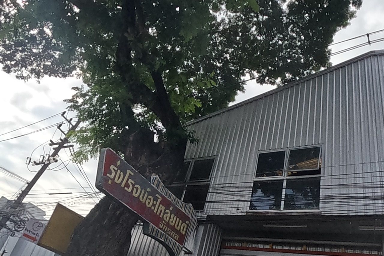 A large corrugated-metal auto-parts warehouse with a red Rungrote Auto Parts sign, a yellow Coffee Tea & Bakery kiosk out front, and a huge roadside tree with a rainbow-striped cloth tied around its trunk.