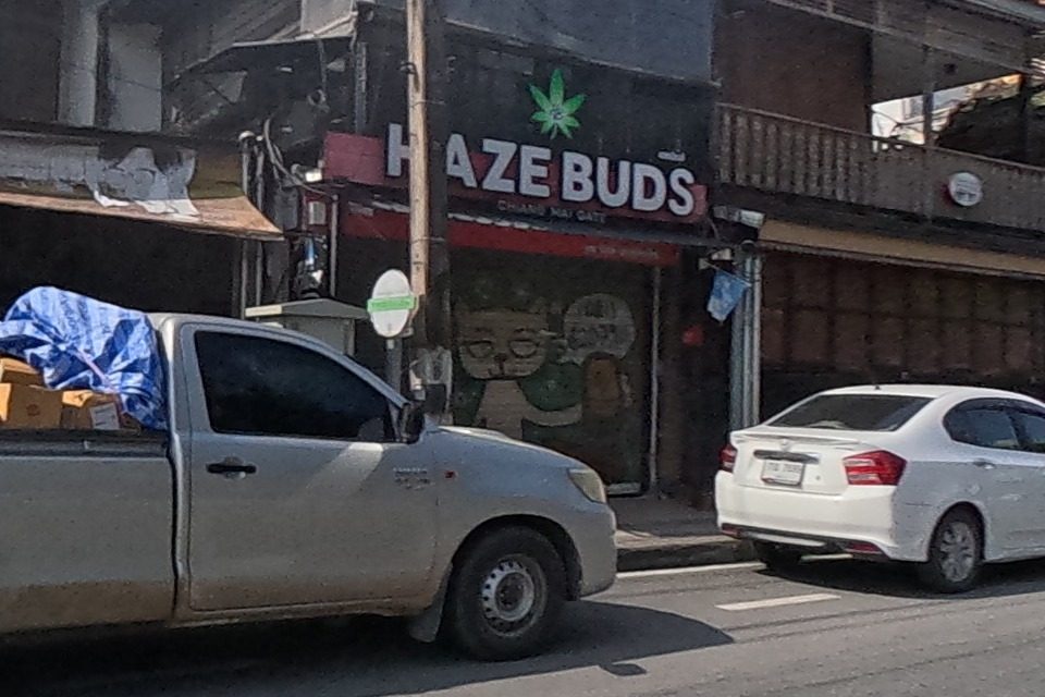 A cannabis dispensary called Haze Buds occupies a dark shopfront beside an old weathered brick ruin, with a chedi spire visible behind.