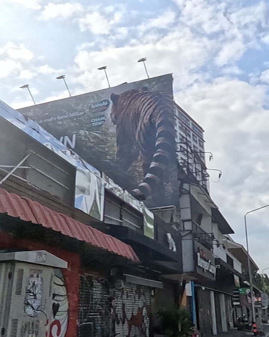 Giant tiger mural over the moat road