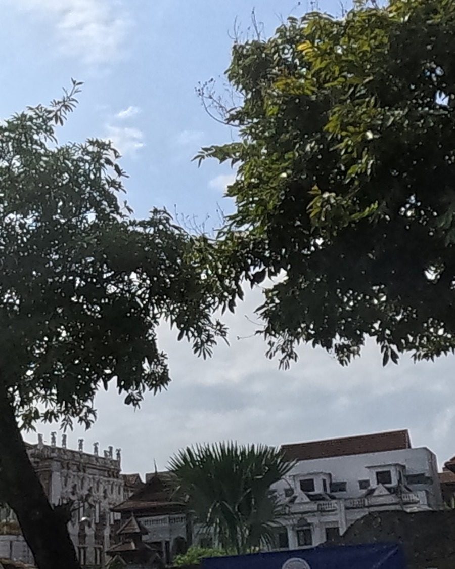 White mansion behind the moat park