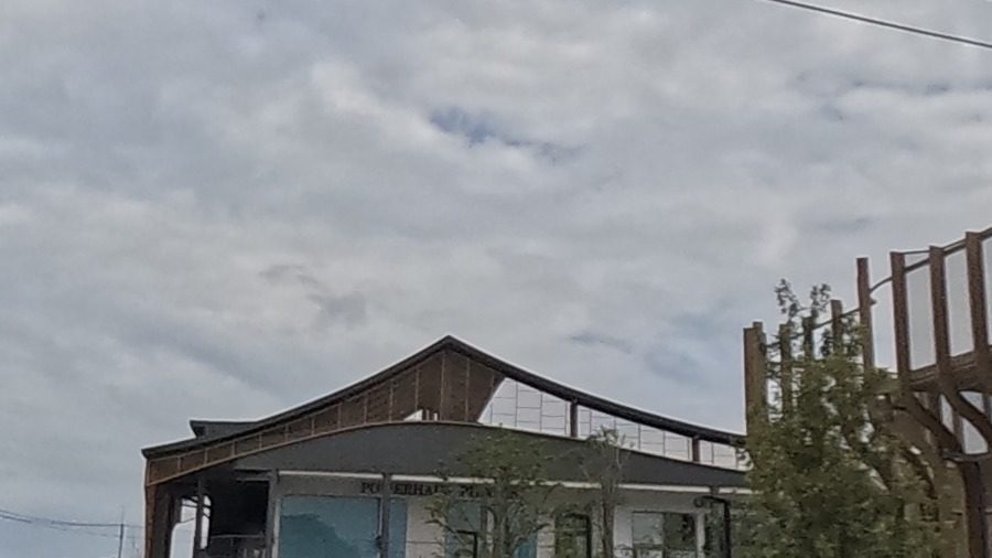 Curved wooden-slat roofline, Habitat Mahidol