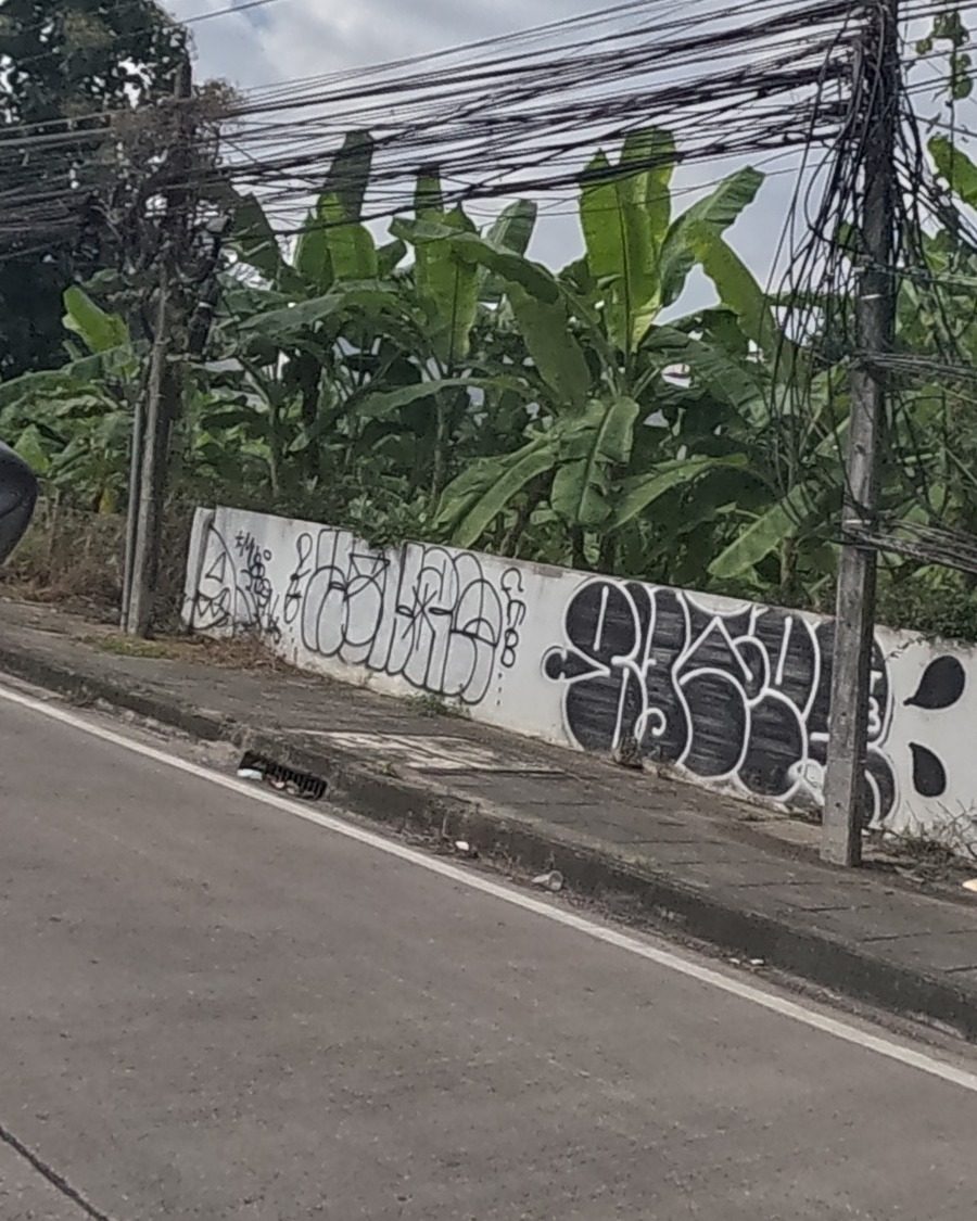 black and white bubble-letter throw-up on a block wall