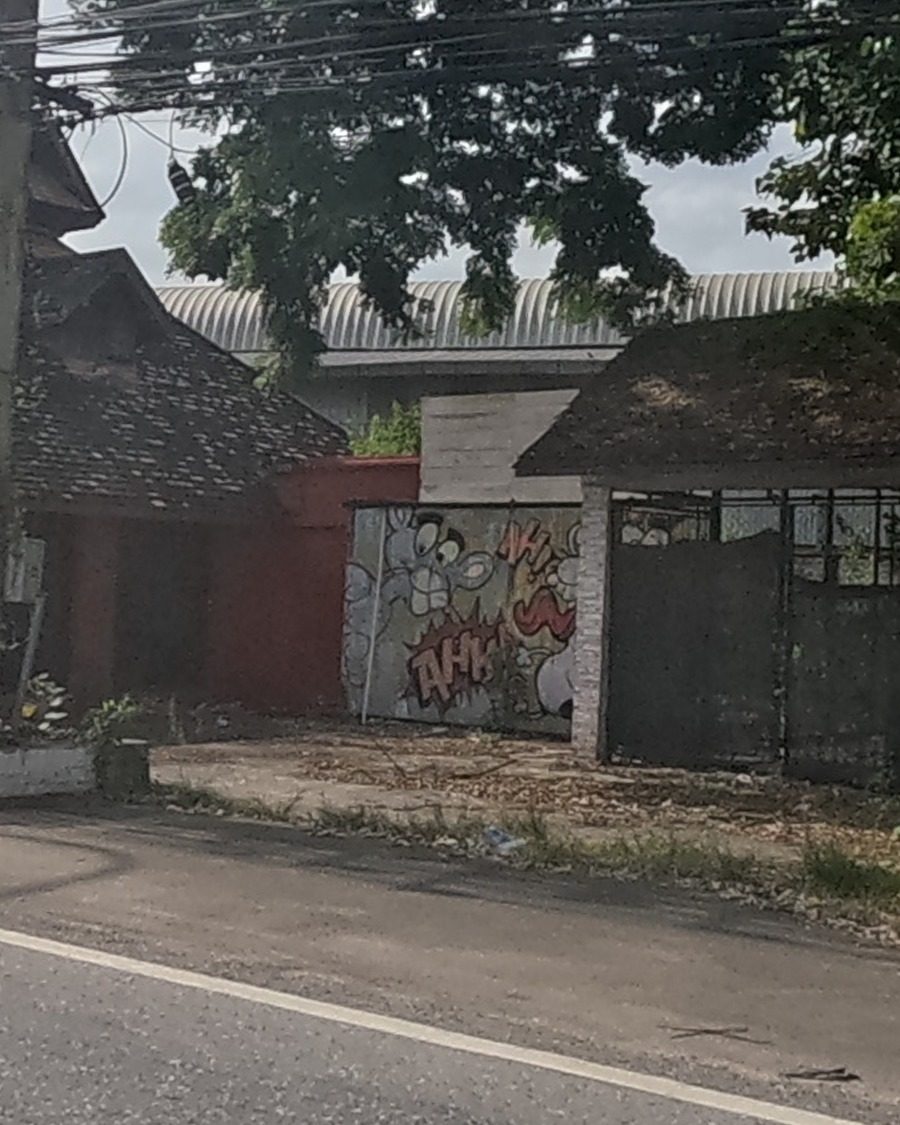 cartoon comic-burst graffiti on a shuttered old teak house