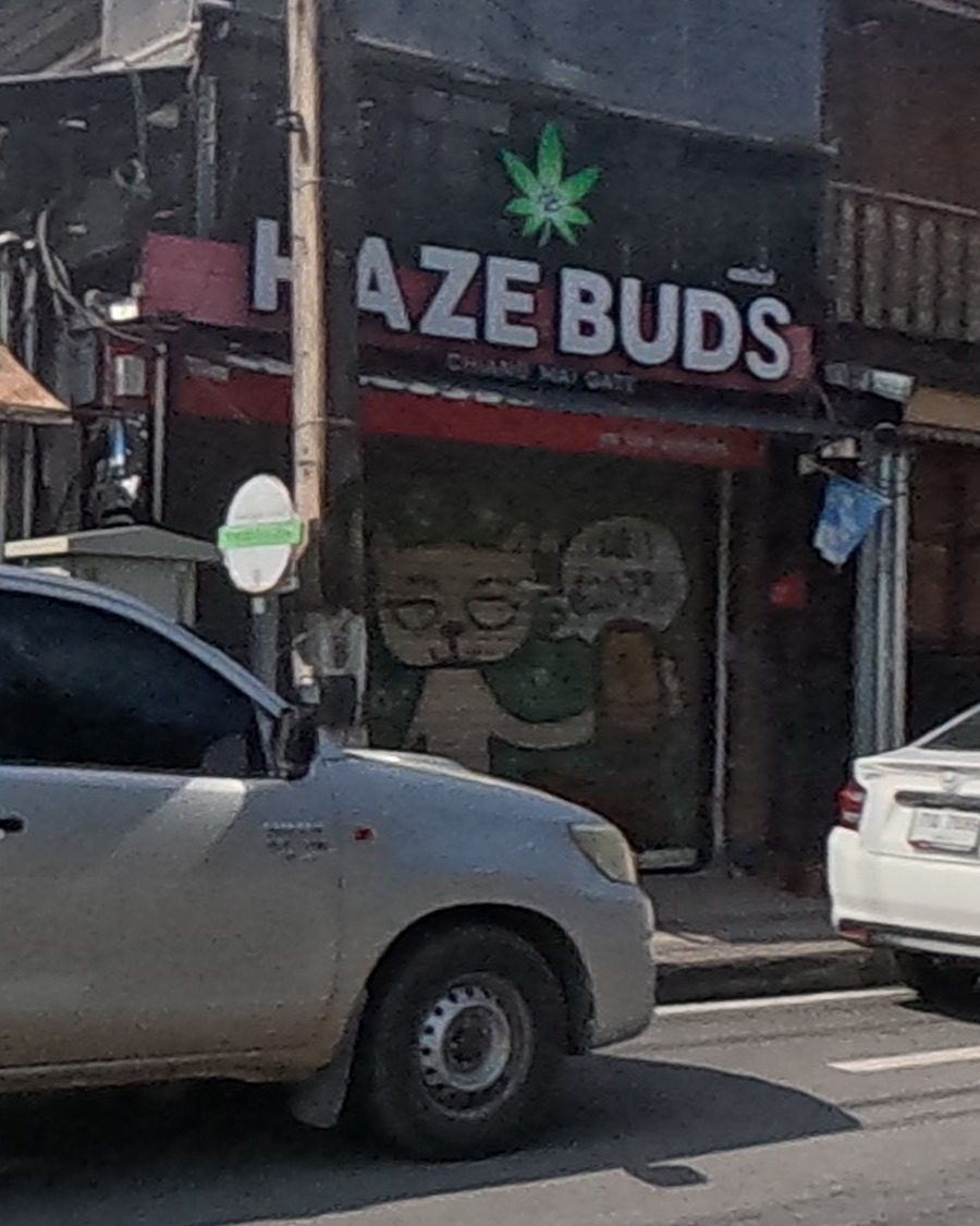 Cartoon cat mural at HAZE BUDS shutter