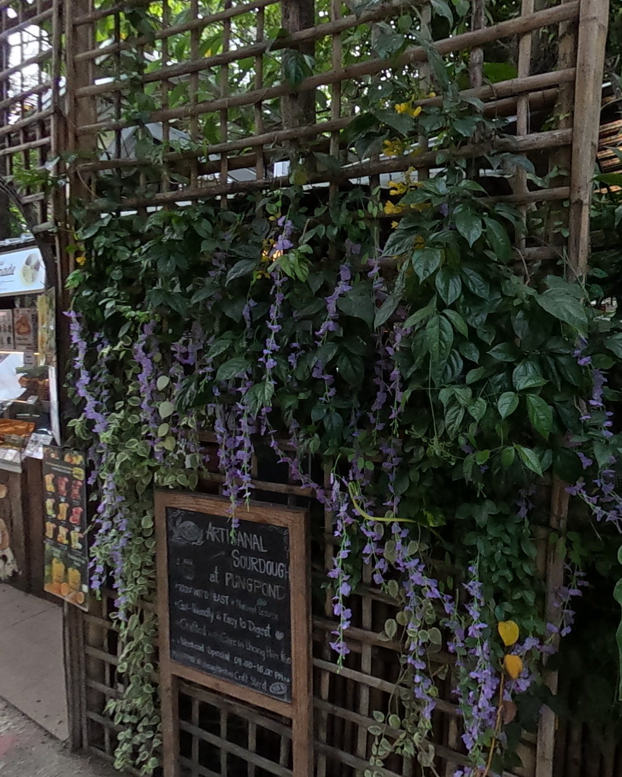 Purple vine and a sourdough chalkboard on bamboo lattice — Chamcha Market, San Kamphaeng