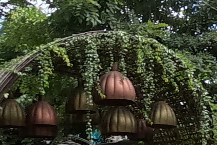 Copper pumpkin lanterns under a vine arch — Chamcha Market, San Kamphaeng