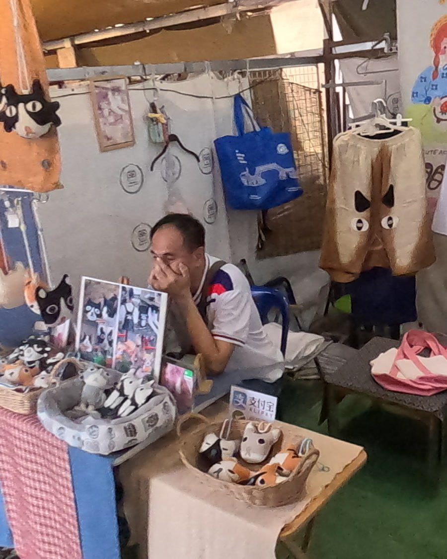 Embroidery Girl's stallholder among his felt cats — Chamcha Market, San Kamphaeng