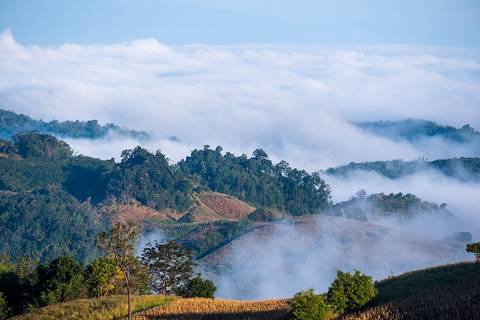 อุทยานแห่งชาติศรีน่าน