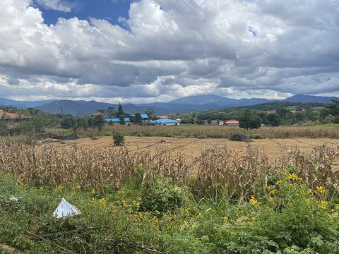 Dry fields and distant homes are seen in the Pai District