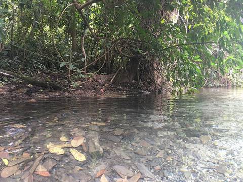 Sai Ngam Hot Spring in Pai District, Mae Hong Son Province.