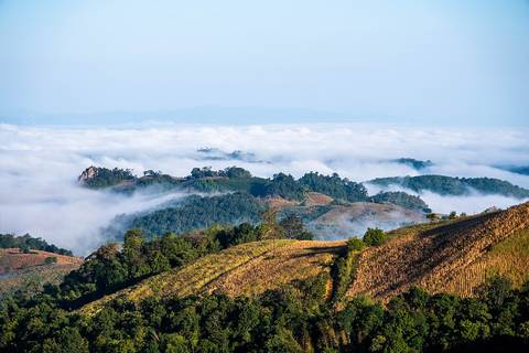 อุทยานแห่งชาติศรีน่าน