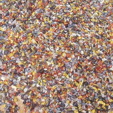 Yunnan colorful glutinous rice