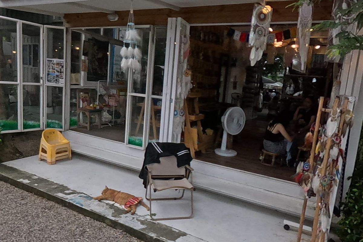 แมวส้มนอนหลับหน้าร้านเครื่องดักฝัน · Ginger cat asleep outside the dreamcatcher shop