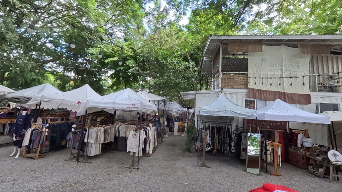 เต็นท์สีขาวใต้ต้นจามจุรี · White tents under rain trees