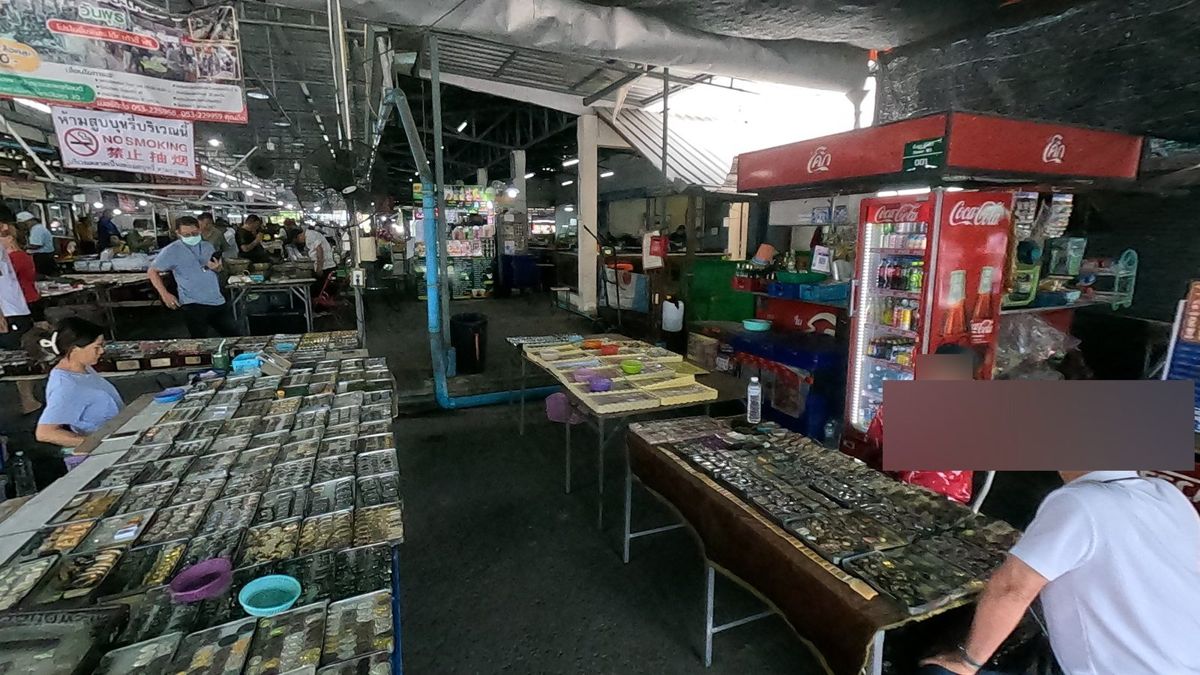 ทางเดินยาวของถาดพระ · The long aisle of amulet trays