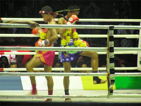 Young Muay Thai fighters in Bangkok