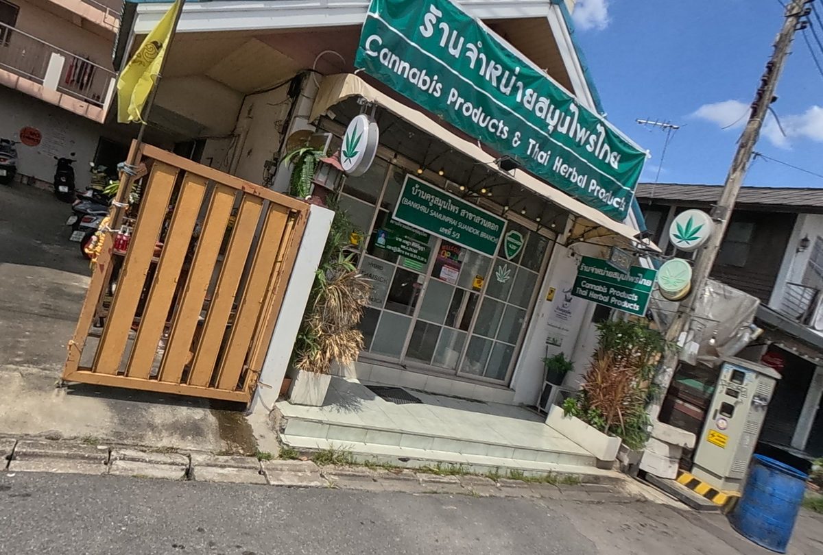 รูปถ่ายของ บ้านครูสมุนไพร สาขาสวนดอก — กัญชา-กระท่อม ในเชียงใหม่ ถ่ายโดย NaN Peacock · Photograph of Bankhru Samunprai, Suan Dok branch, Cannabis & Kratom in Chiang Mai, by NaN Peacock
