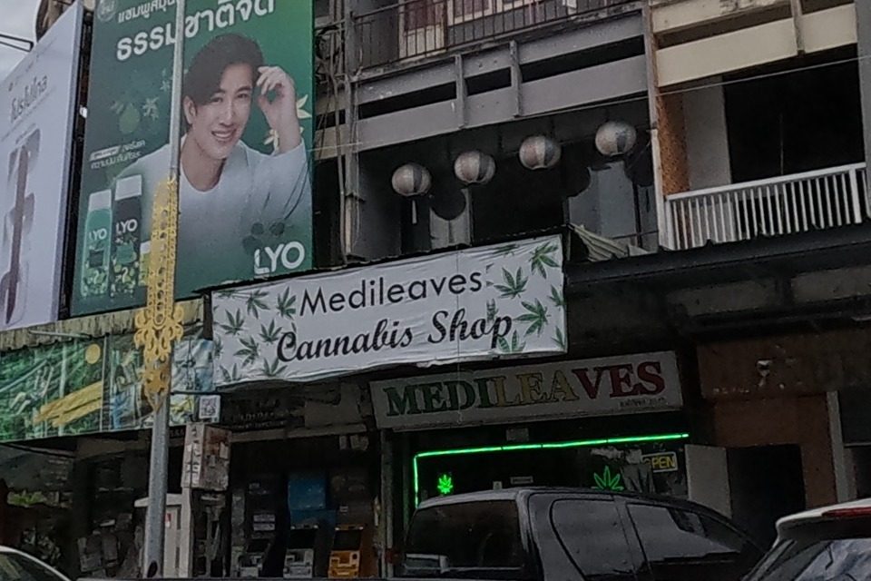 รูปถ่ายของ Medileaves Cannabis Shop — ธุรกิจ-ค้าขาย ในเชียงใหม่ ถ่ายโดย NaN Peacock · Photograph of Medileaves Cannabis Shop, Doing Business in Chiang Mai, by NaN Peacock