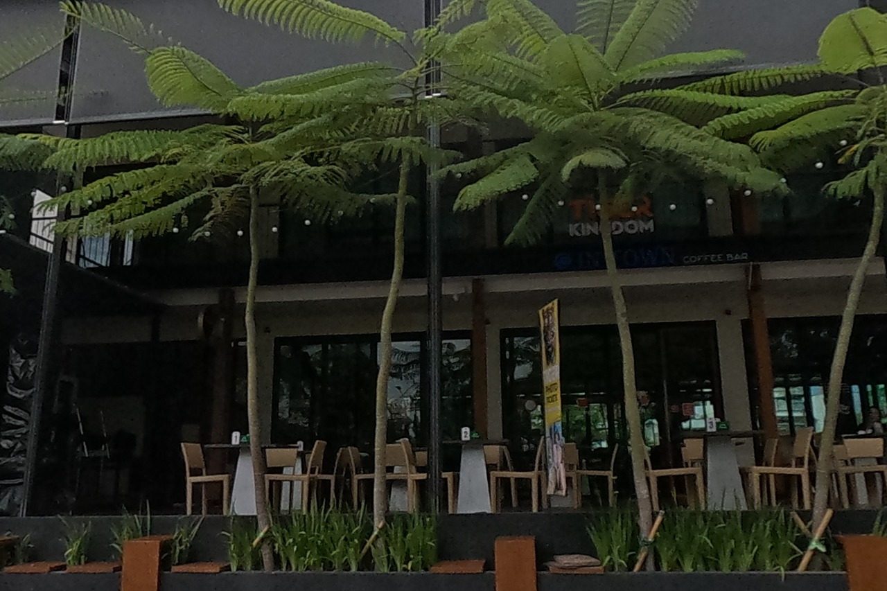 รูปถ่ายของ Thai Kingdom — ร้านอาหาร-ของกิน ในเชียงใหม่ ถ่ายโดย NaN Peacock · Photograph of Thai Kingdom, Food & Eats in Chiang Mai, by NaN Peacock