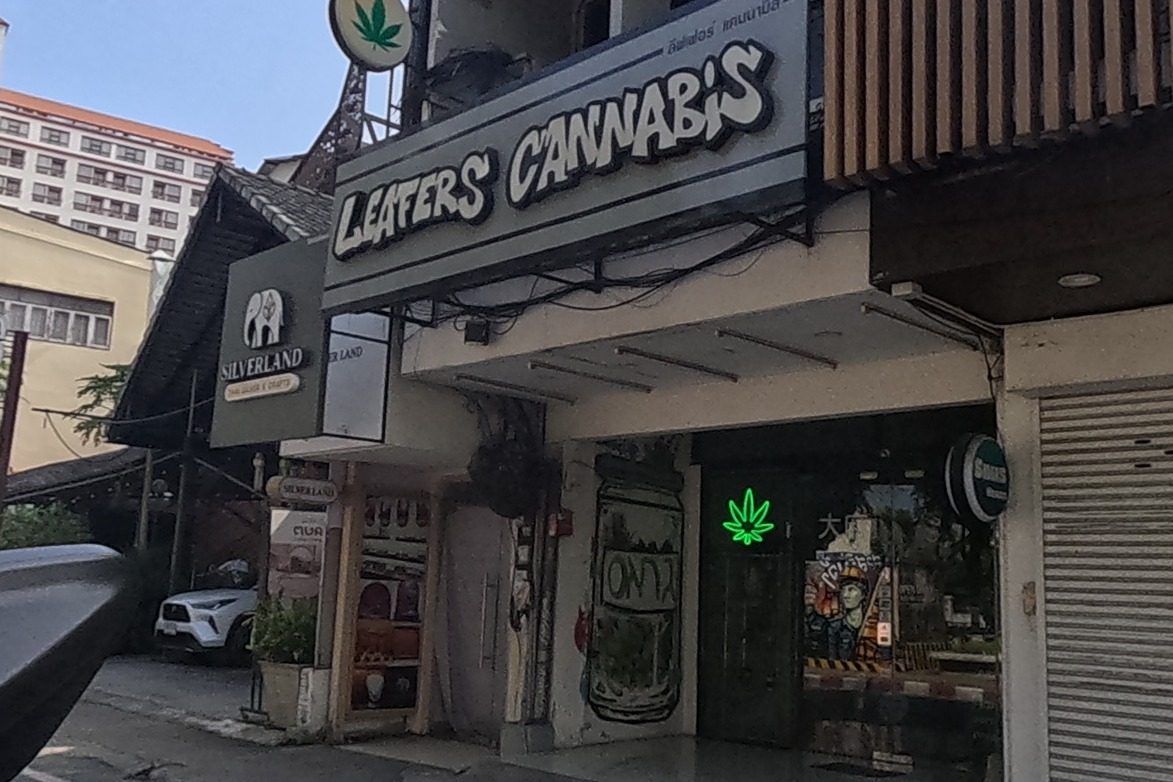 รูปถ่ายของ Leafers Cannabis — กัญชา-กระท่อม ในเชียงใหม่ ถ่ายโดย NaN Peacock · Photograph of Leafers Cannabis, Cannabis & Kratom in Chiang Mai, by NaN Peacock