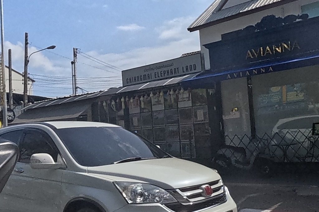 รูปถ่ายของ Chiangmai Elephant Land - Office — ธุรกิจ-ค้าขาย ในเชียงใหม่ · Photograph of Chiangmai Elephant Land - Office, Doing Business in Chiang Mai