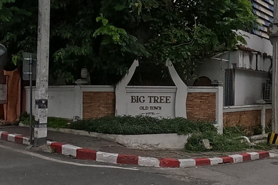 รูปถ่ายของ Big Tree Old Town Hotel — โรงแรม-ที่พัก ในเชียงใหม่ · Photograph of Big Tree Old Town Hotel, Hotels & Stays in Chiang Mai