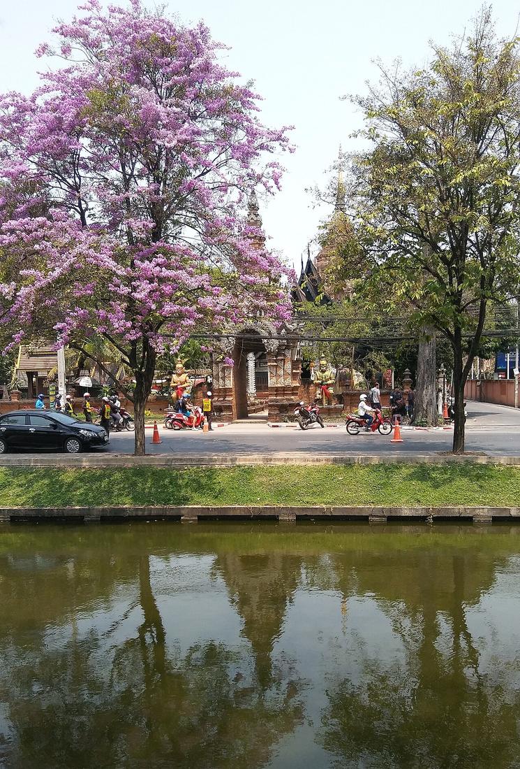 City moat of Chiang Mai between Hua Rin Corner and Chang Phuak Gate