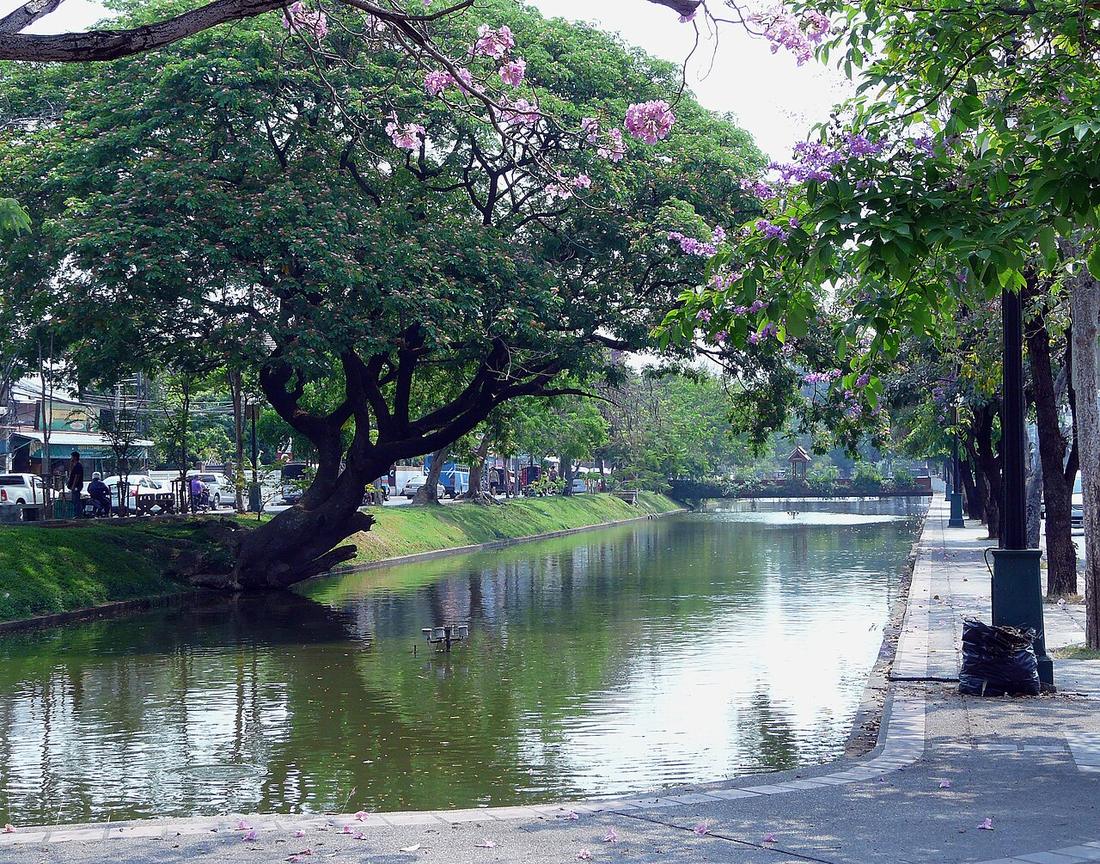 City moat of Chiang Mai between Chiang Mai Gate and Suan Prung Gate