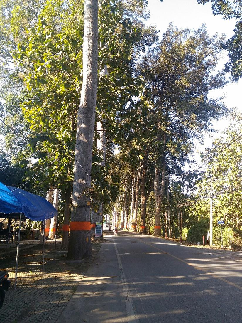 Het gedeelte van de Noord-Thaise weg 106 dat tussen Chiang Mai en Lamphun loopt, wordt ook wel de "oude Chiang Mai - Lamphun weg" genoemd. Het gedeelte daarvan dat in de provincie Chiang Mai ligt, hee