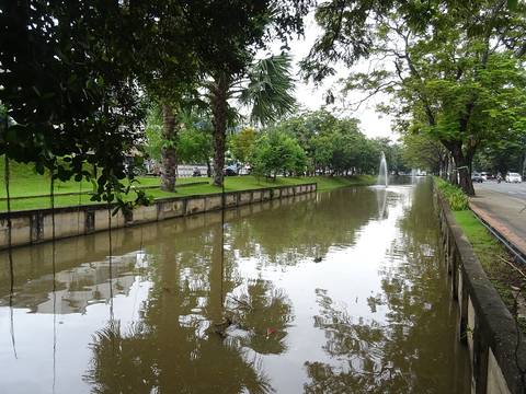 Moat near the Suan Dok Gate in Chiang Mai.