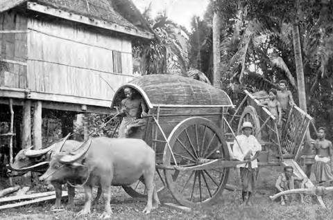 * Original caption: Native bullock carts & ox yokes.
Uploader's caption: Ra-thae (Thai: ระแทะ), a traditional vehicle of Thailand.