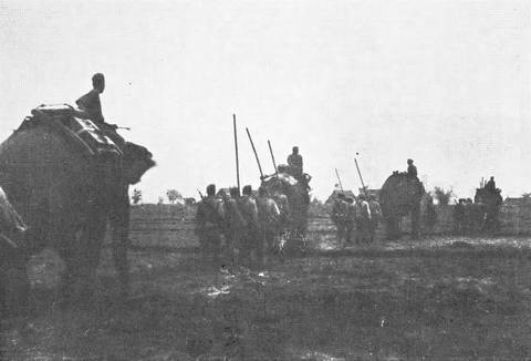 This picture is described as follows:
Original caption: "The use of elephants as vehicles for conveyance of military supplies and weaponry."