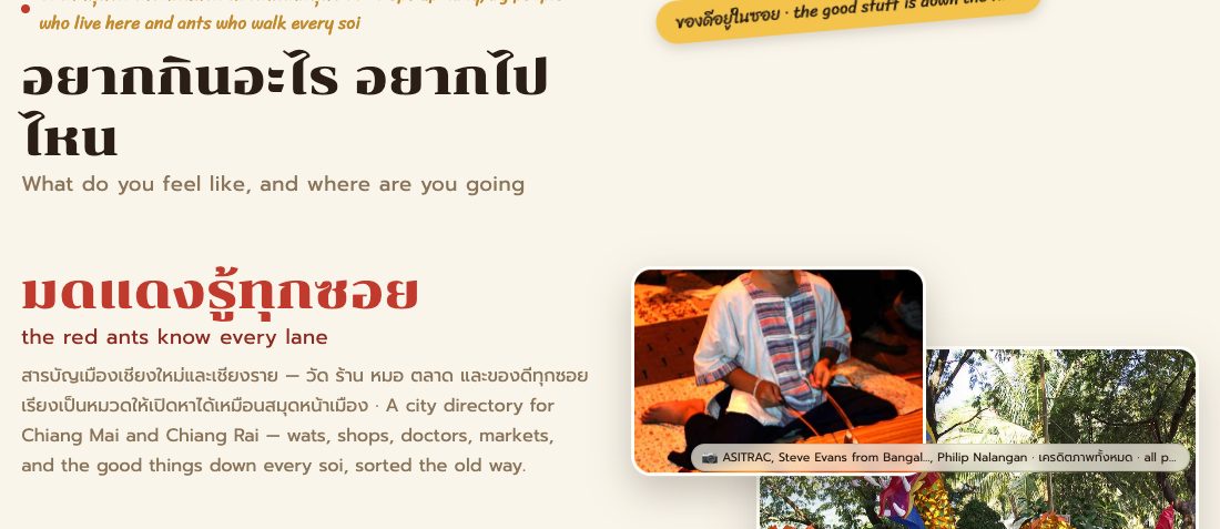 พาดหัวหน้าแรก — อยากกินอะไร อยากไปไหน · The homepage headline — what do you feel like, where are you going