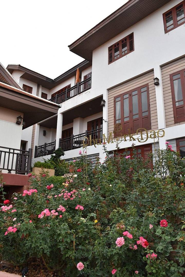 ภูหมอกดาวรีสอร์ท. Phu Mork Dao Resort