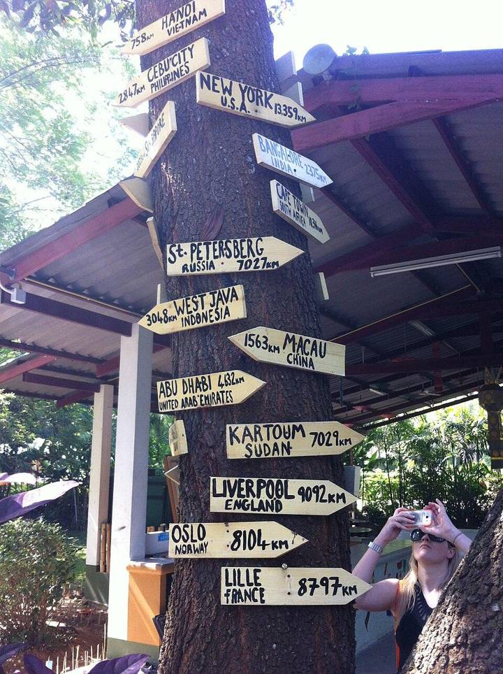 Prem Tinsulanonda International School signpost tree