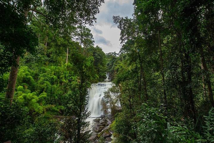 Doi Inthanon national parl