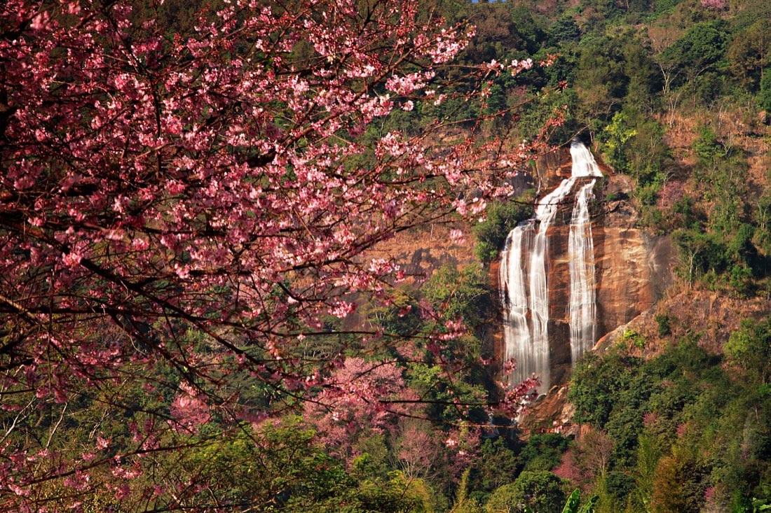 Siri Phum Waterfall, Doi Inthanon National Park , Chiang Mai Province