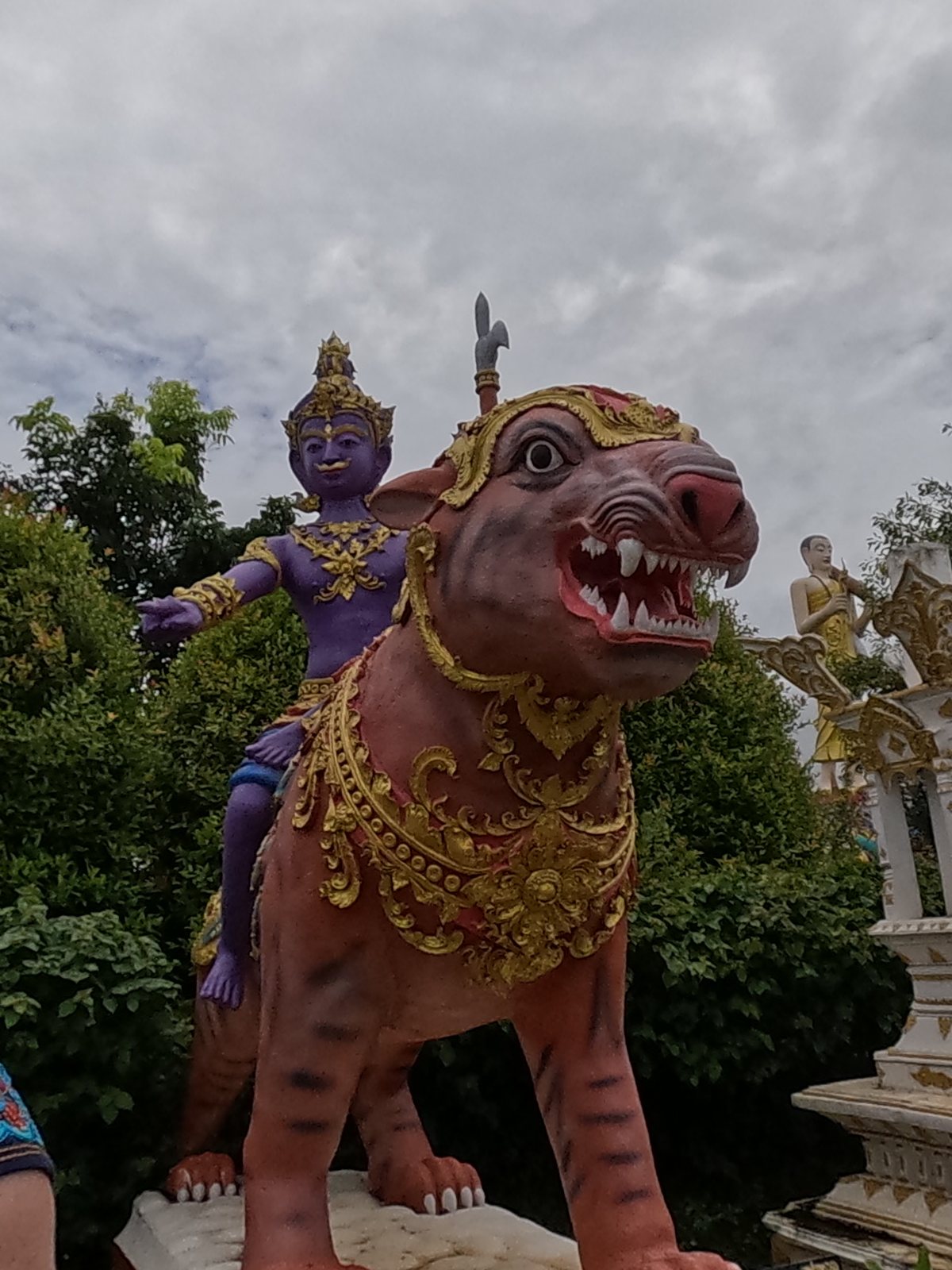 The red tiger and its rider.