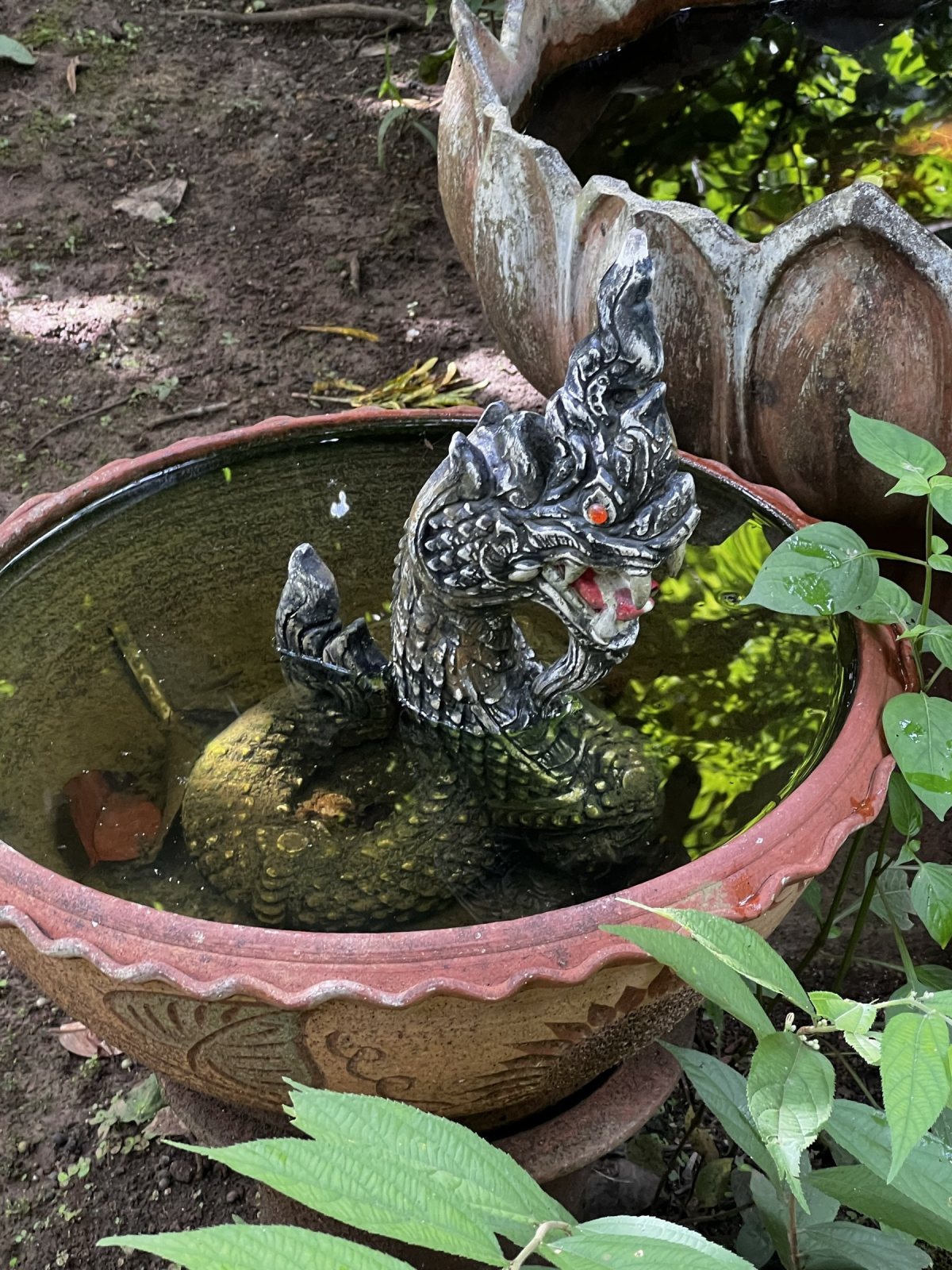 A naga in a bowl by the path.